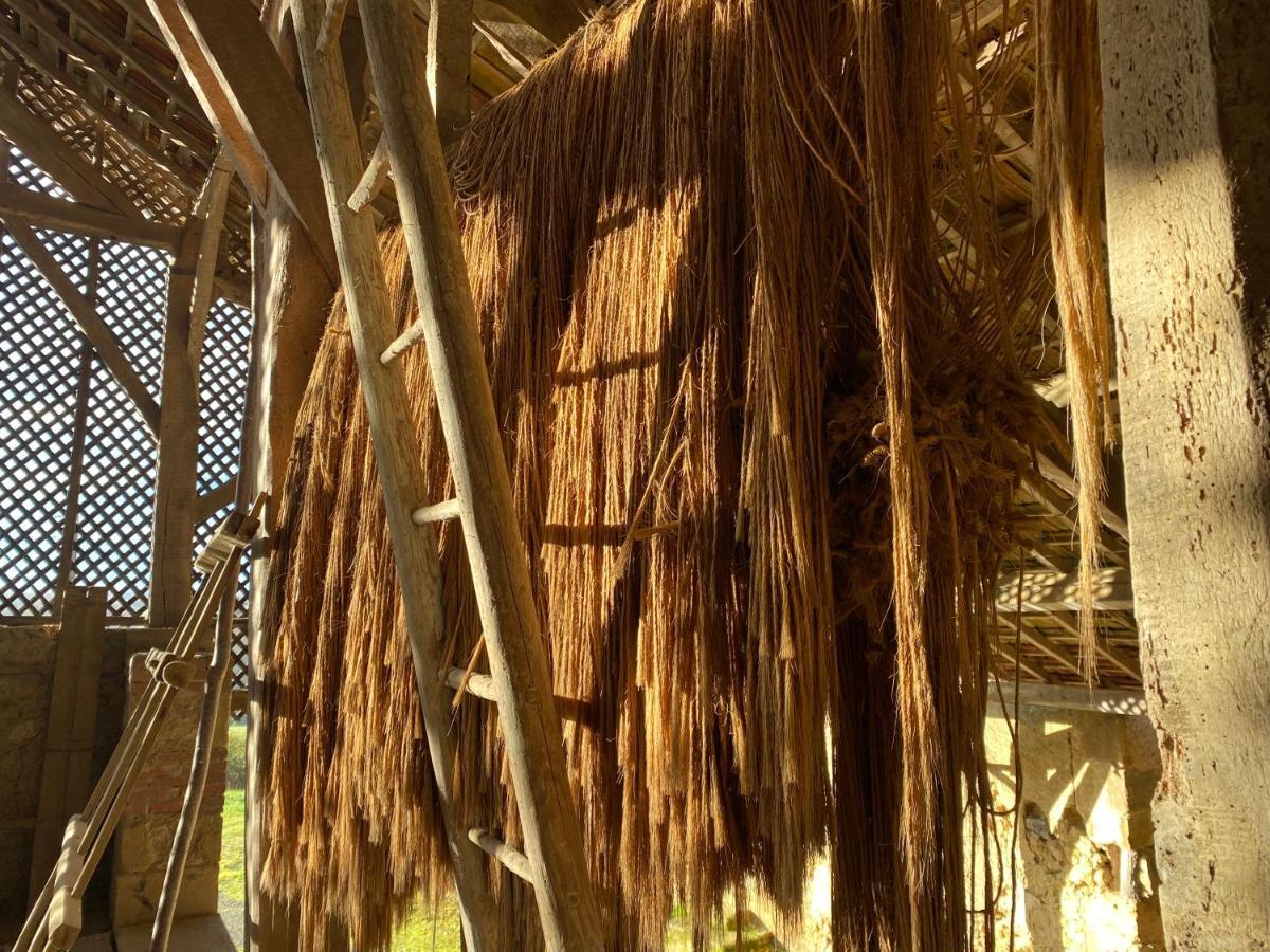 La Maison De Manon มิร็องด์ ภายนอก รูปภาพ